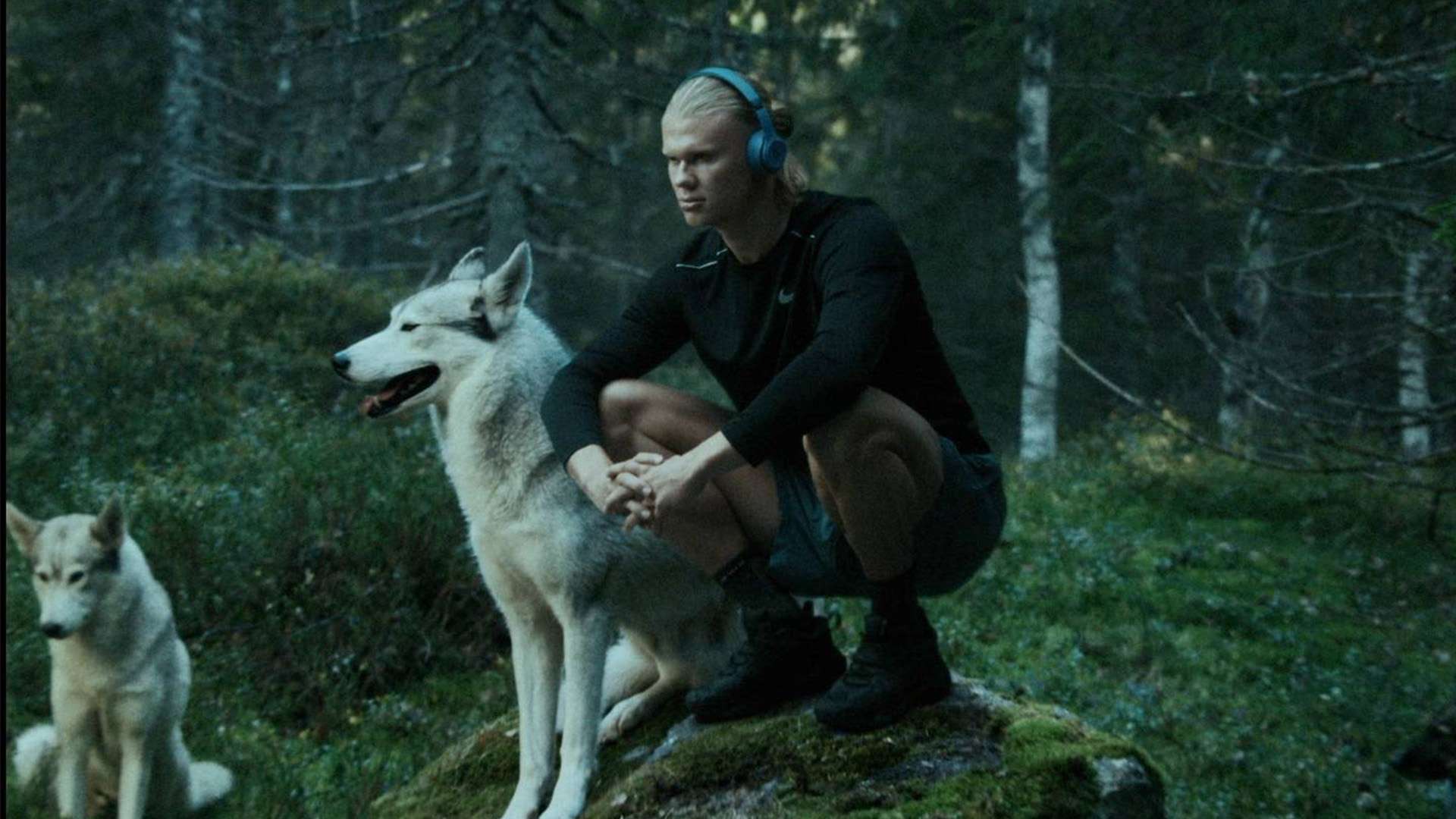 得分高达 得分高达